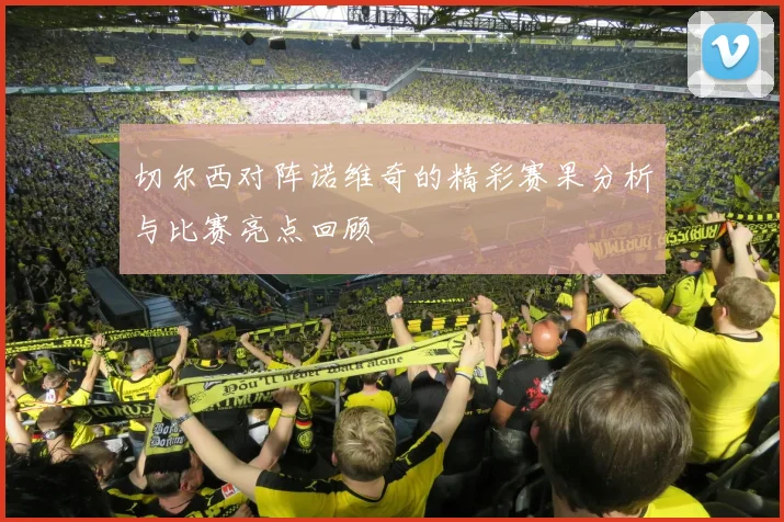 切尔西对阵诺维奇的精彩赛果分析与比赛亮点回顾