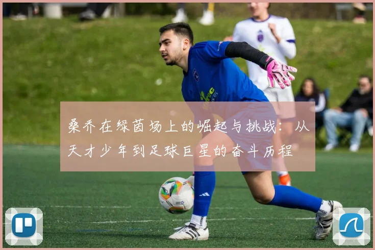 桑乔在绿茵场上的崛起与挑战：从天才少年到足球巨星的奋斗历程