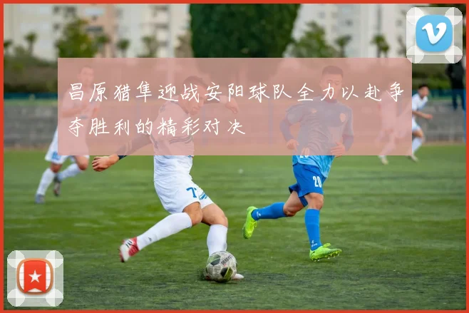 昌原猎隼迎战安阳球队全力以赴争夺胜利的精彩对决