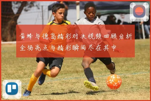 黄蜂与德岛精彩对决视频回顾分析全场亮点与精彩瞬间尽在其中