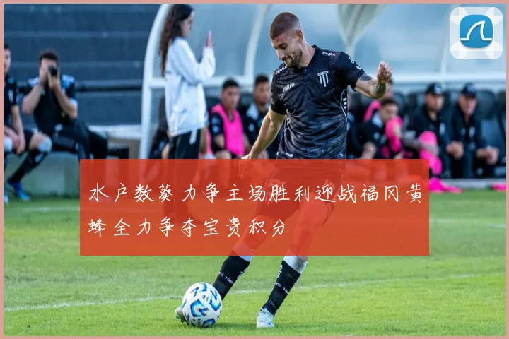水户数葵力争主场胜利迎战福冈黄蜂全力争夺宝贵积分