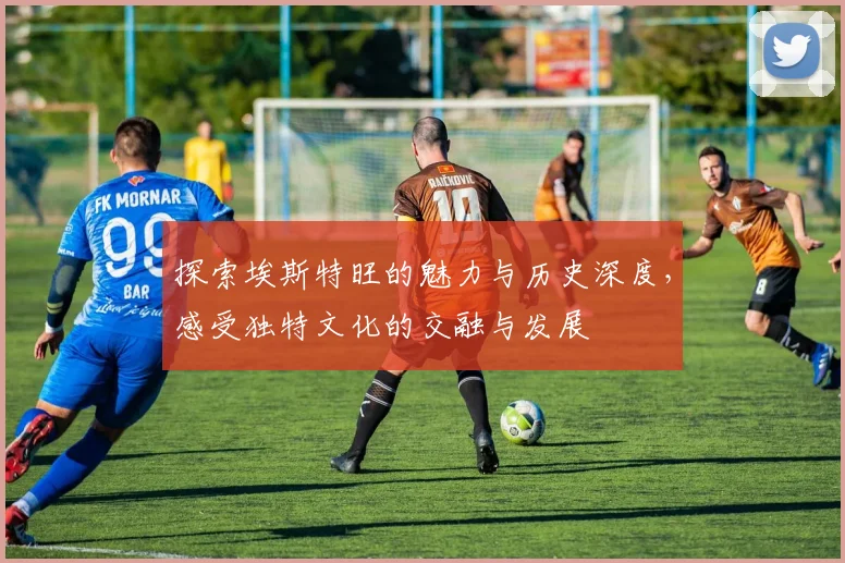 探索埃斯特旺的魅力与历史深度，感受独特文化的交融与发展