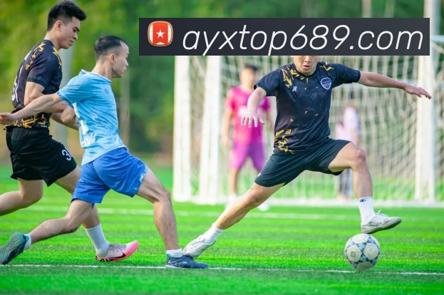 多媒体互动体验